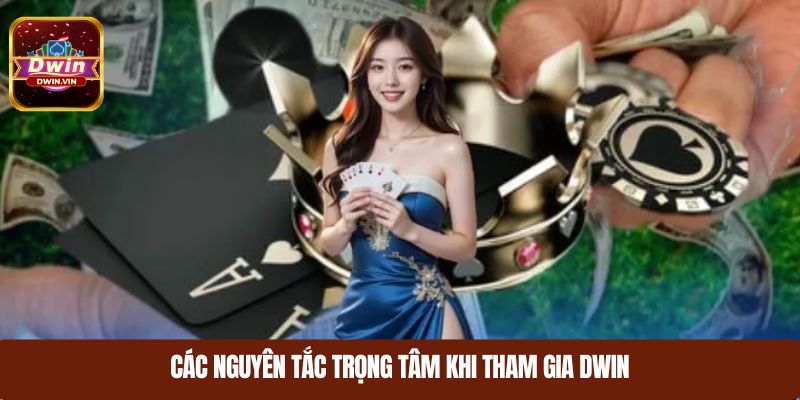 Các nguyên tắc trọng tâm khi tham gia DWIN