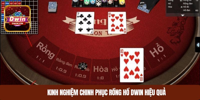 Kinh nghiệm chinh phục rồng hổ DWIN hiệu quả