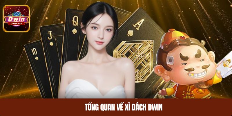 Tổng quan về xì dách DWIN